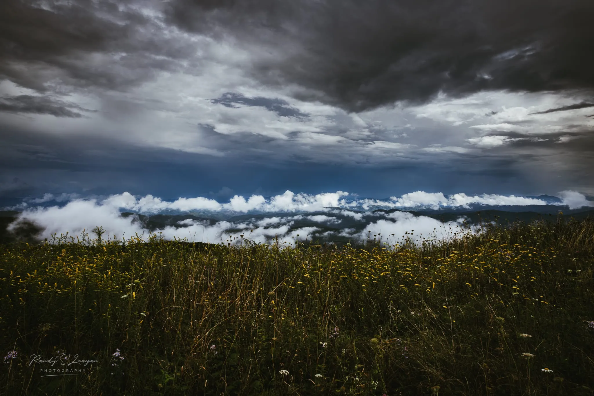 Wildflower meadow above a cloud-filled valley in the Grayson Highlands